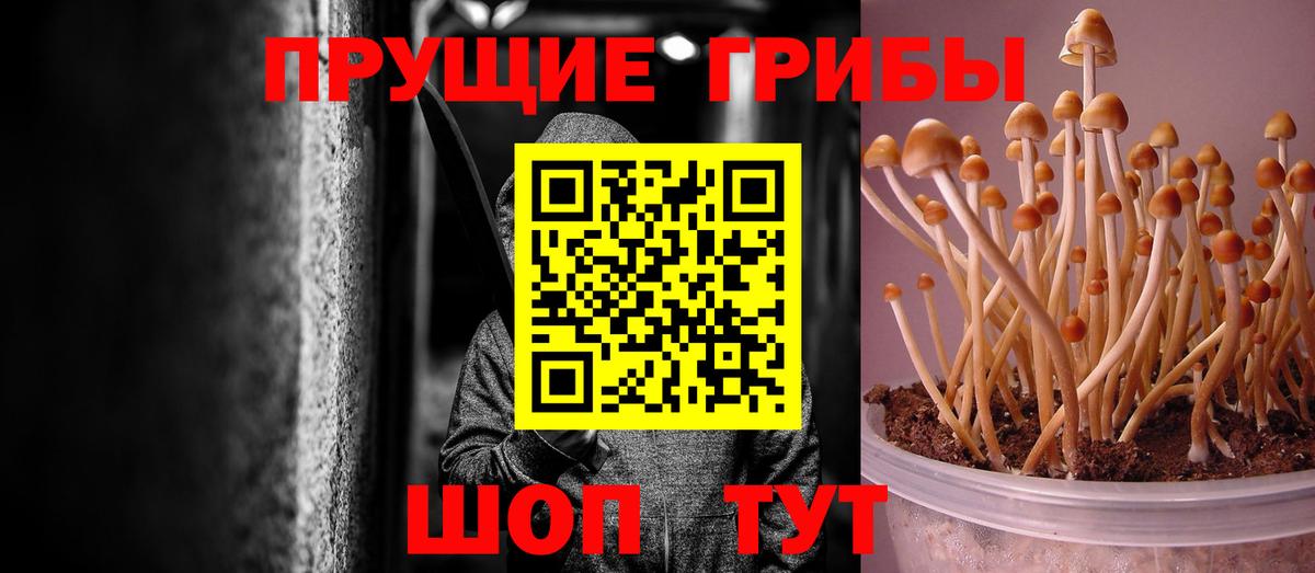 продажа наркотиков  Галлюциногенные грибы мухоморы  Вход с VPN  Нальчик 