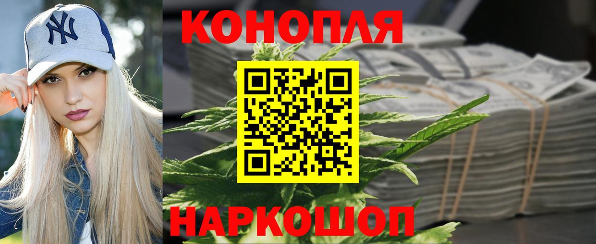 Бошки марихуана конопля  Канабис план  Вход с VPN  Конопля сатива  Канабис Amnesia  Нальчик 